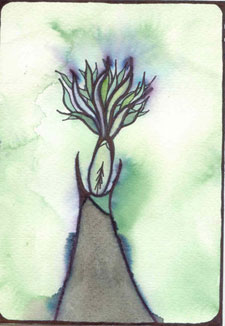 the ART of Dana Leggett