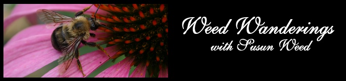 Herbal Medicine Ezine --  Wise Woman Wisdom 