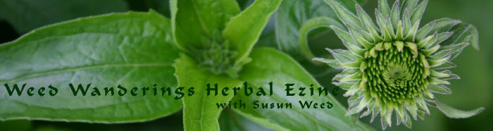 Herbal Medicine Ezine --  Wise Woman Wisdom 