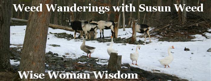 Herbal Ezine --  Wise Woman Wisdom 