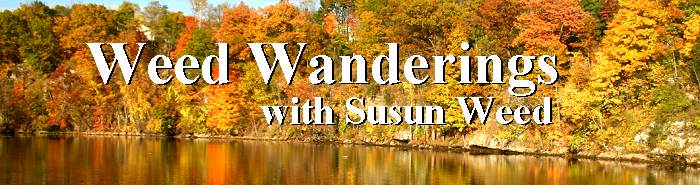 Weed Wanderings Herbal eZine with Susun Weed