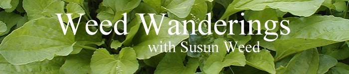 Weed Wanderings Herbal eZine with Susun Weed