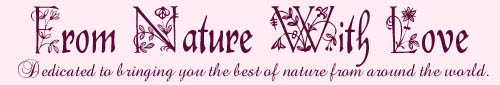 From Nature with Love banner