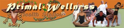 Primal Wellness: Health Station banner