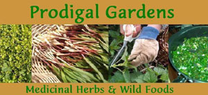 Prodigal Gardens banner