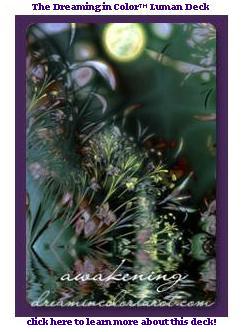 dream in color tarot by Mindy Sommers