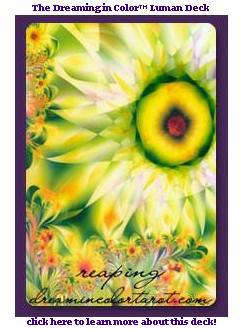 dream in color tarot by Mindy Sommers