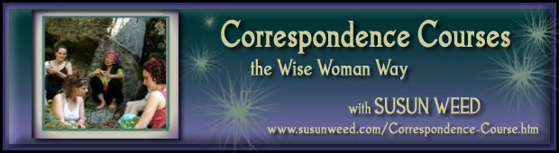 Correspondence Courses - the Wise Woman Way