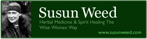 Susun Weed wise woman spirit healing herbal medicine
